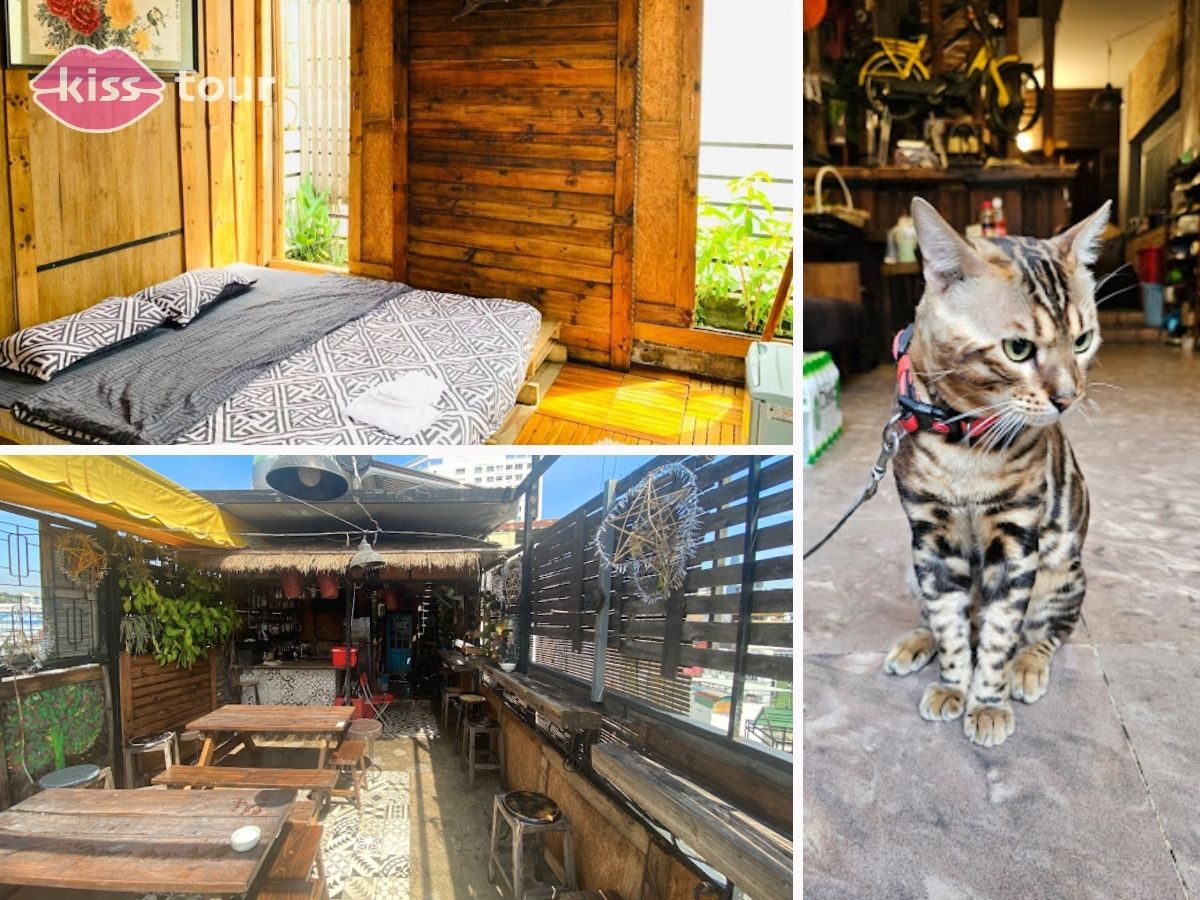 Mobylette Saigon Hostel
