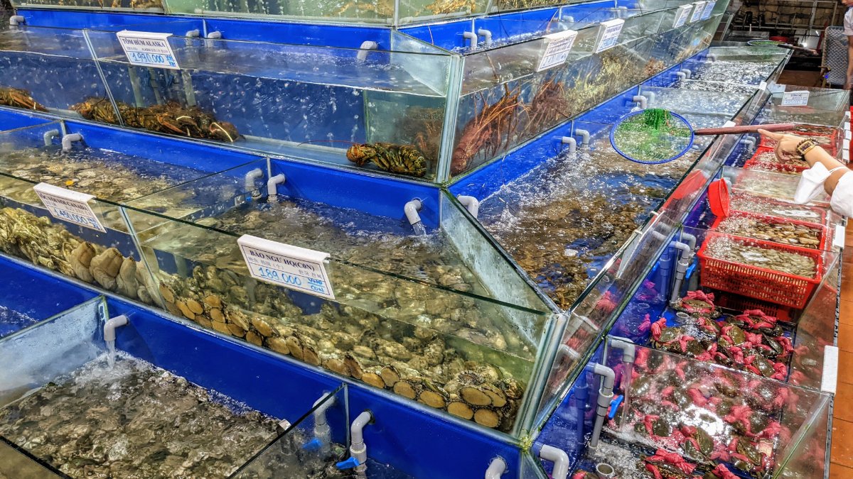Seafood stalls at a market in Vietnam
