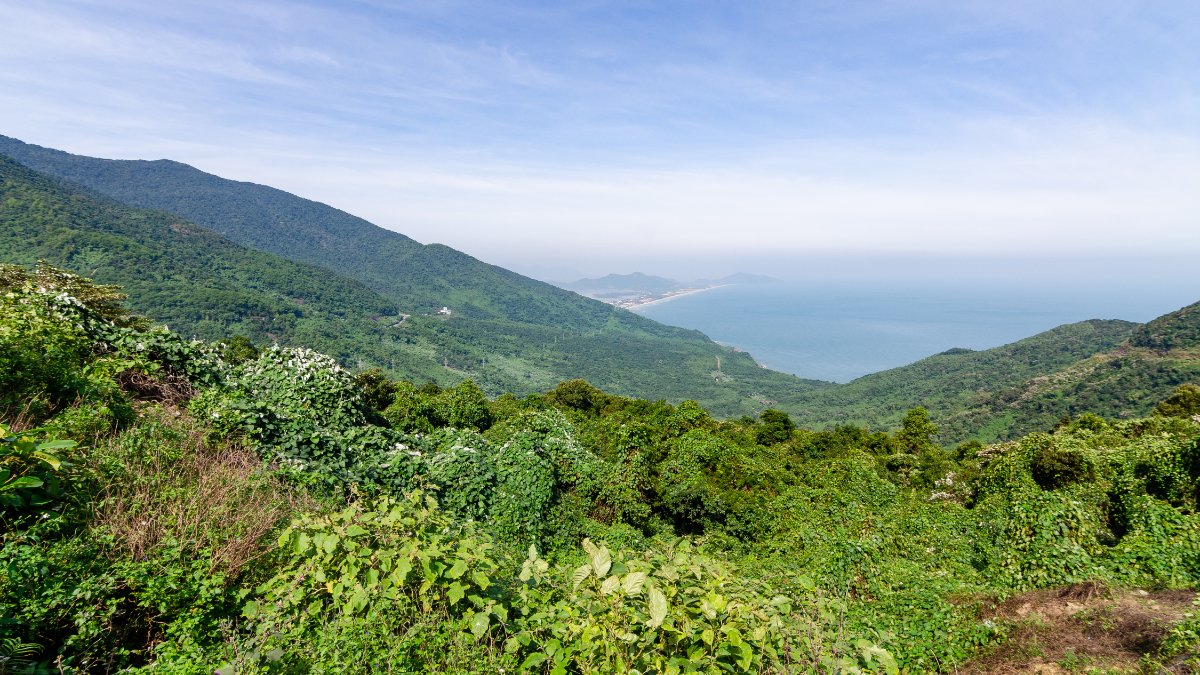 The green slopes of the Hai Van Pass between Da Nang and Hue