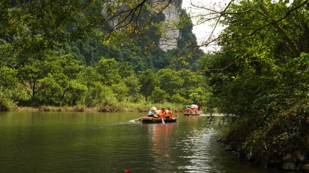 Rowboats winding through the limestone karst landscape of Trang An on a Ninh Binh day trip from Hanoi