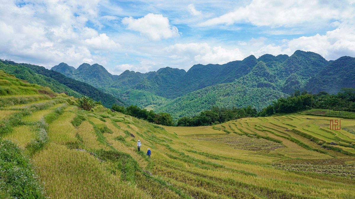 Green hills and paddies in Pu Luong