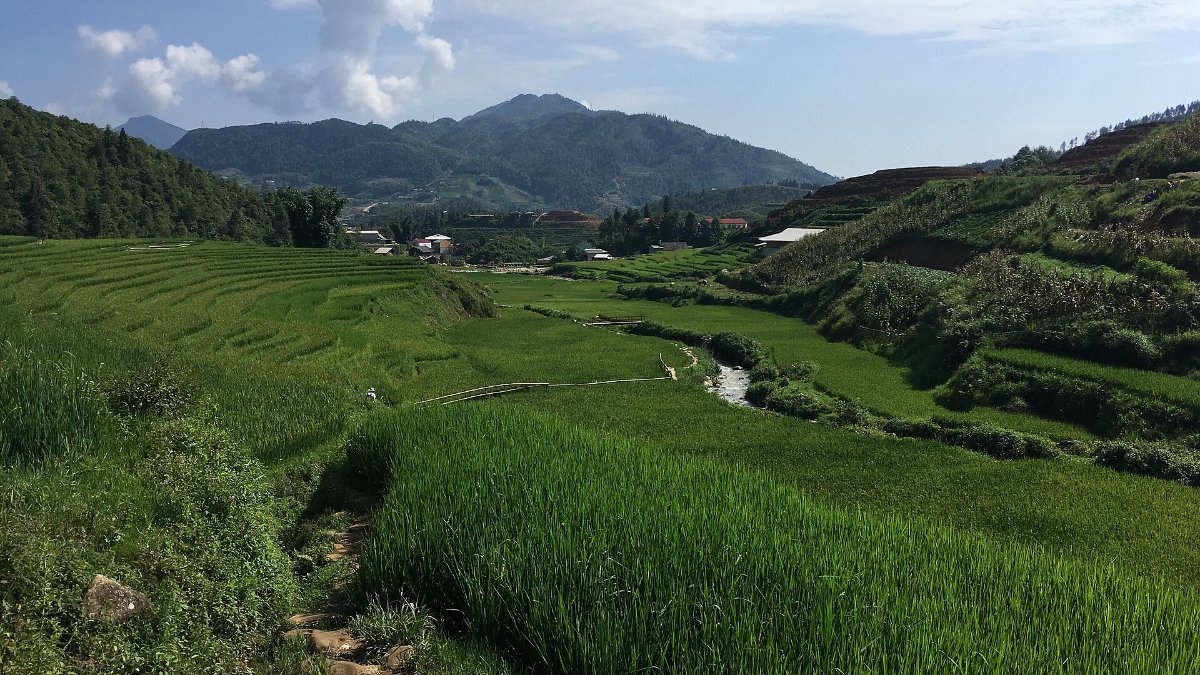 A valley of rice terraces near Sa Pa, Lao Cai province