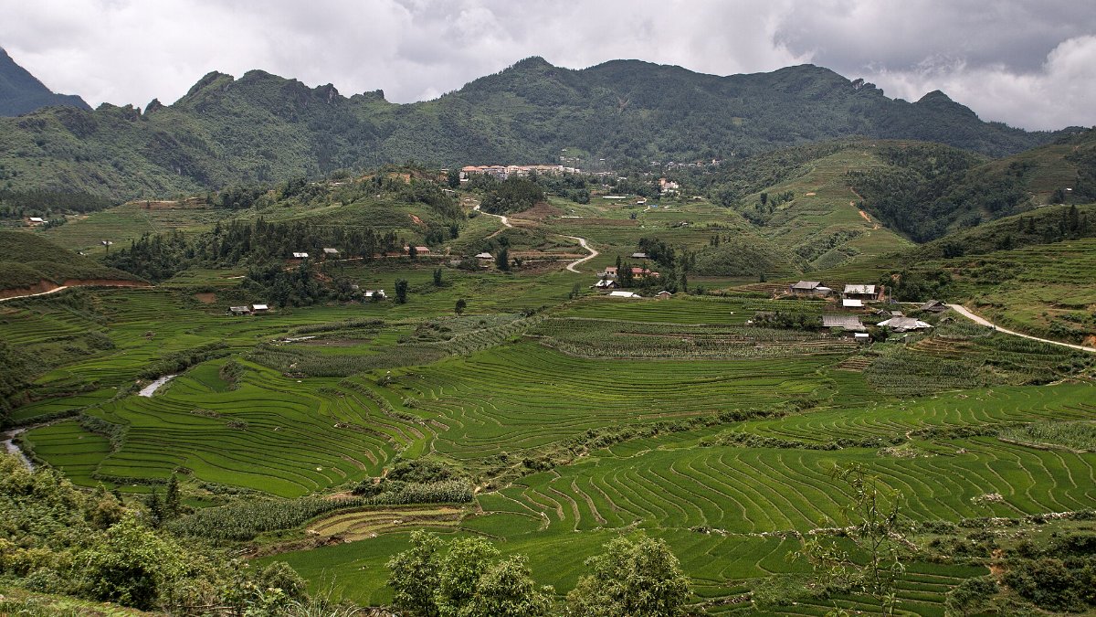 Green rice terraces on the slopes near Sa Pa